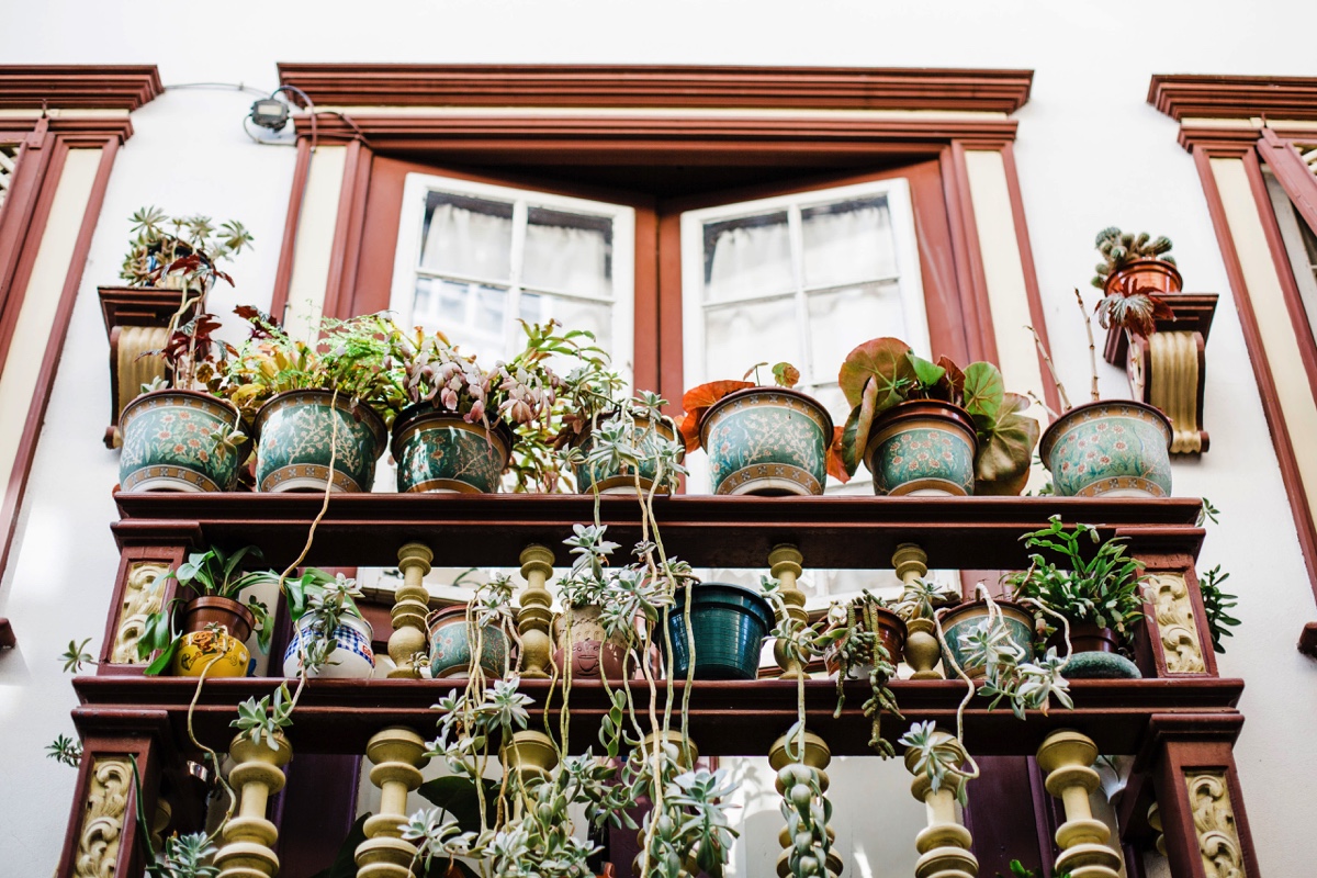 A balcony filled with succulents in pots. Somewhere in Guimaraes, Portugal.