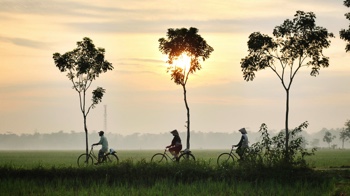 Three people cycling through af field in Indonesia.