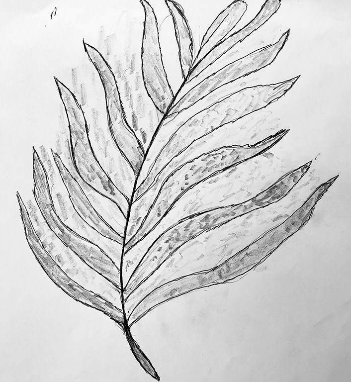 Drawing of a leaf.
